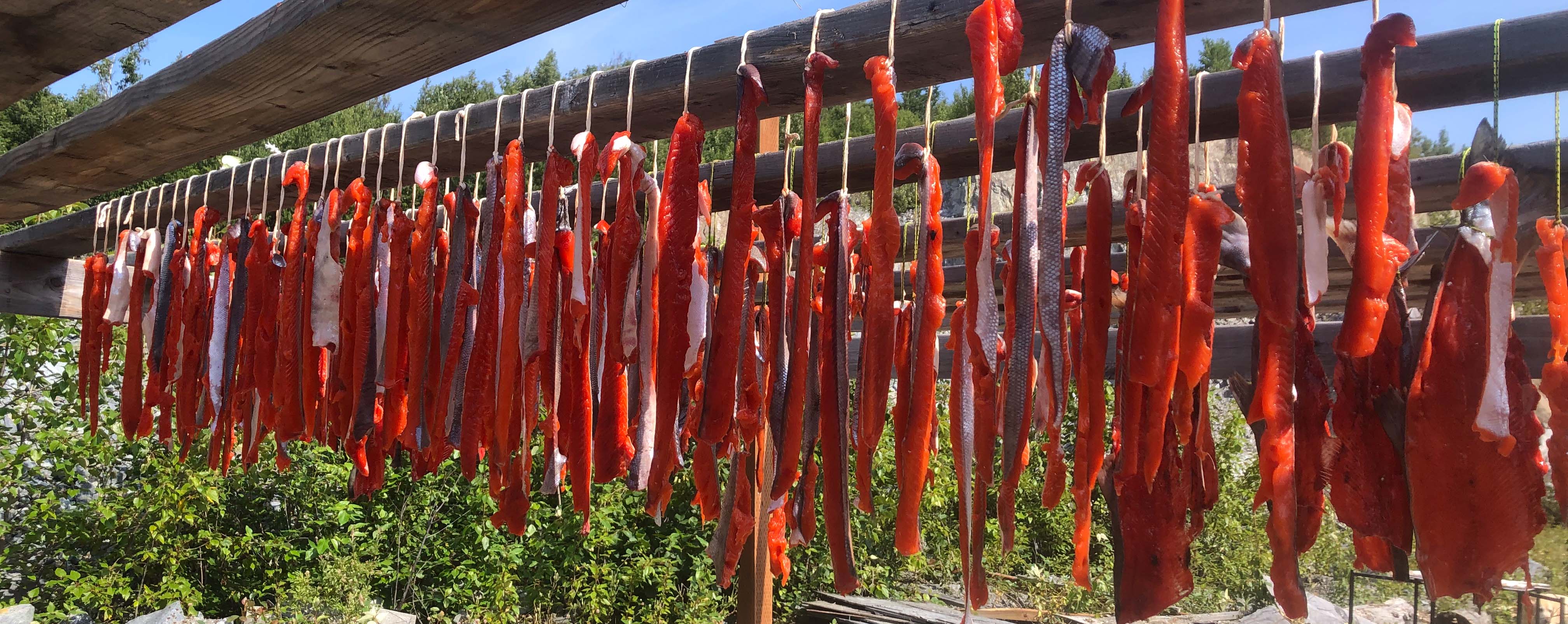 preserving your fish-the-link