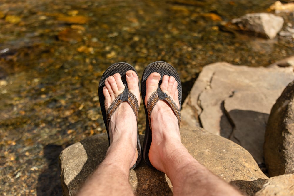 chaco-rapid-pro-fli-the-link