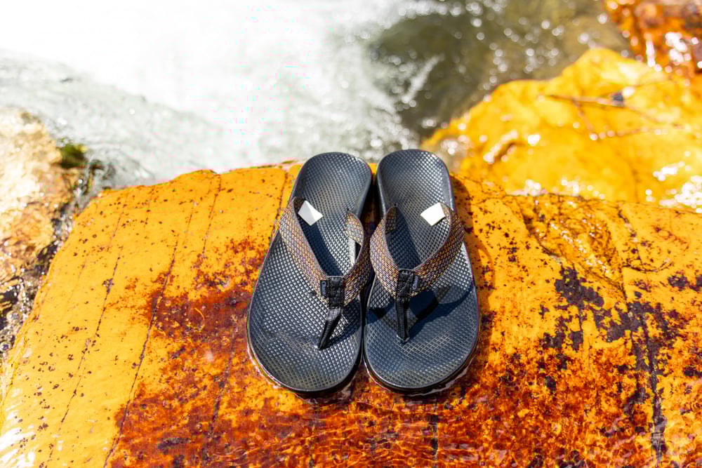 chaco-rapid-pro-fli-the-link