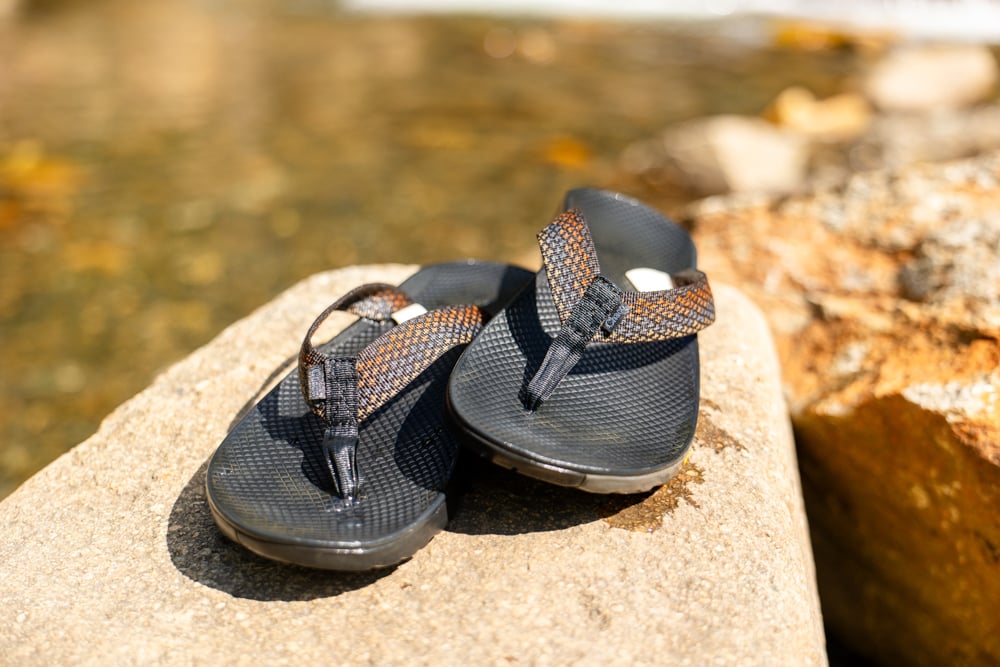 chaco-rapid-pro-fli-the-link
