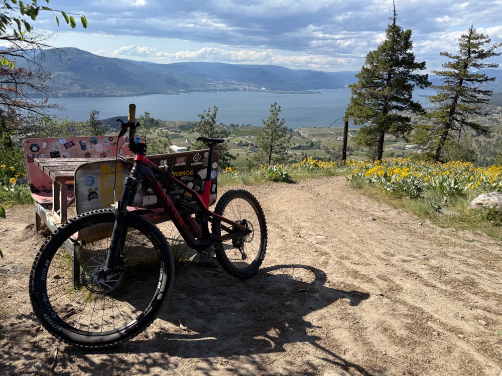 thule-roundtrip-bike-case-the-link