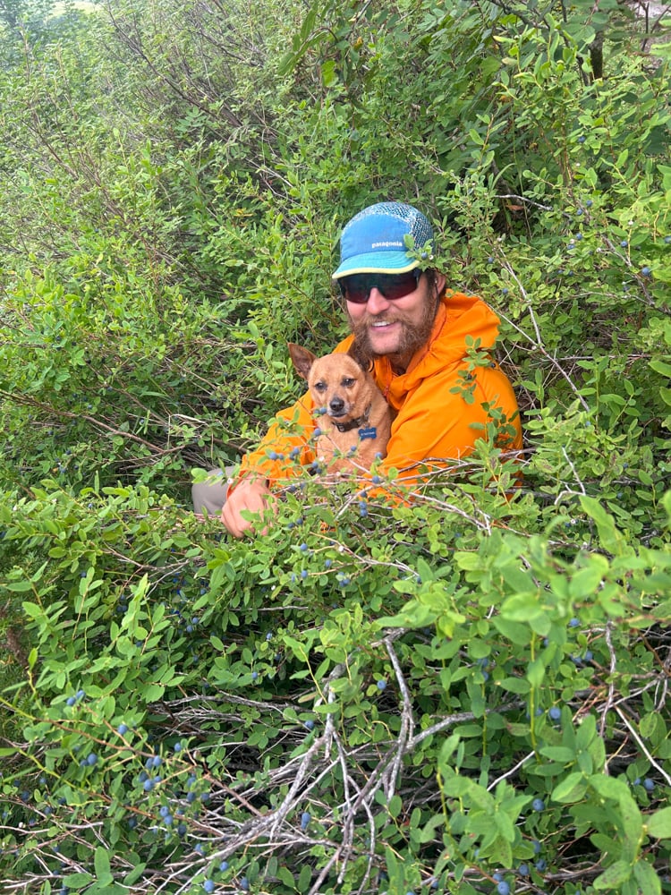 foraging-dos-and-donts-the-link