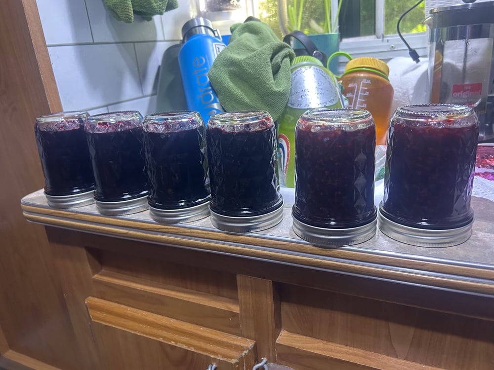 foraging-dos-and-donts-the-link