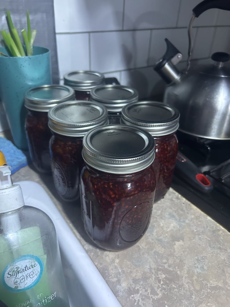 foraging-dos-and-donts-the-link