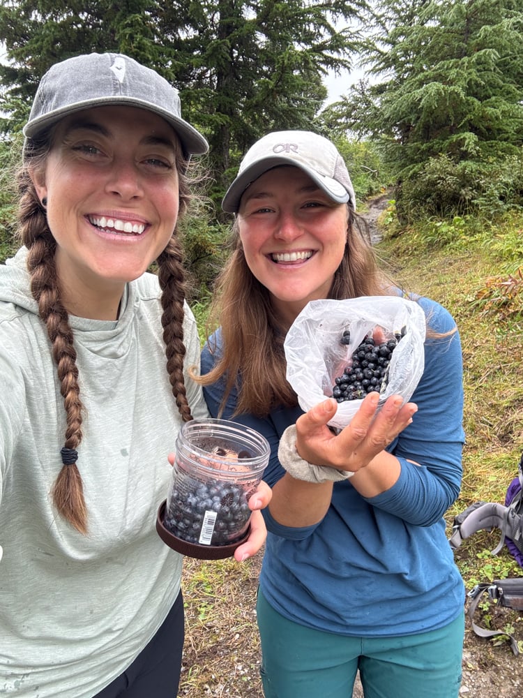 foraging-dos-and-donts-the-link