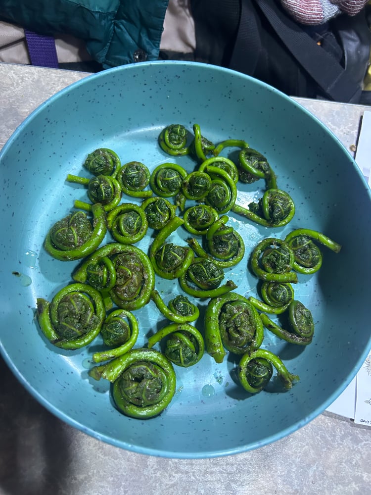 foraging-dos-and-donts-the-link