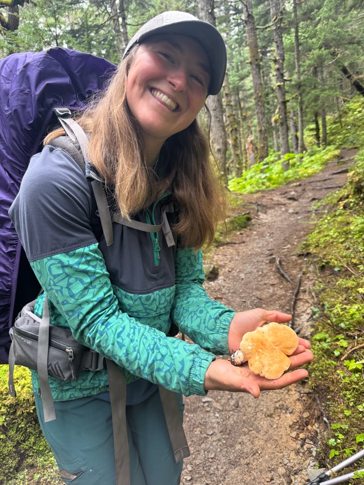 foraging-dos-and-donts-the-link