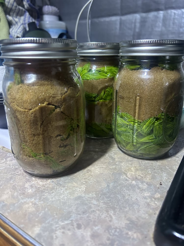 foraging-dos-and-donts-the-link