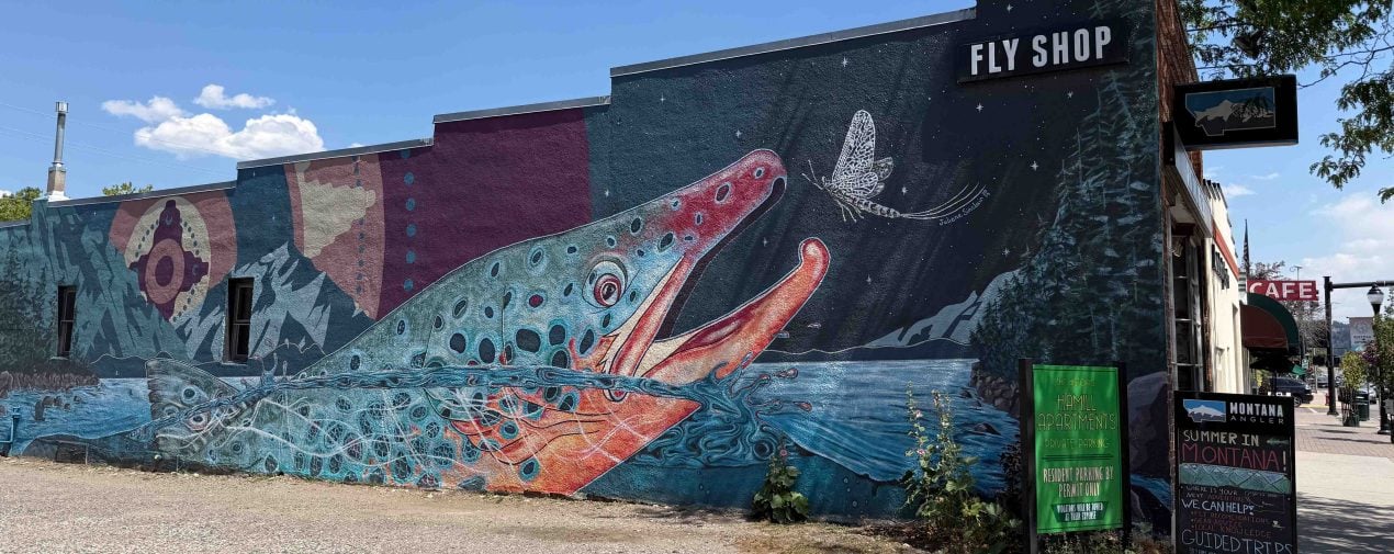 montana-angler-the-link