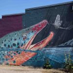 montana-angler-the-link