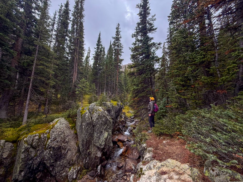 beringia-dragonfly-waterprrof-jacket-the-link