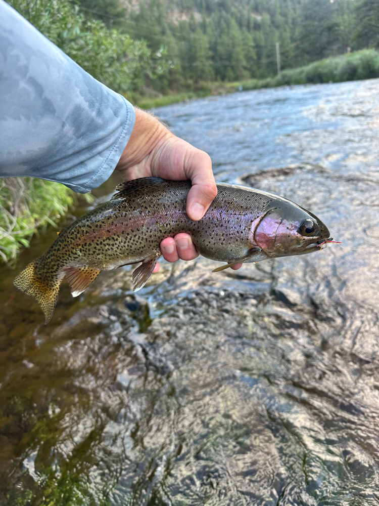 chaco-rapid-pro-flip-the-link