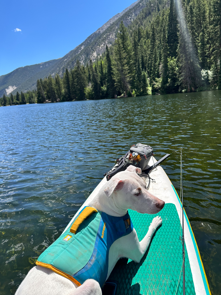 chaco-rapid-pro-flip-the-link