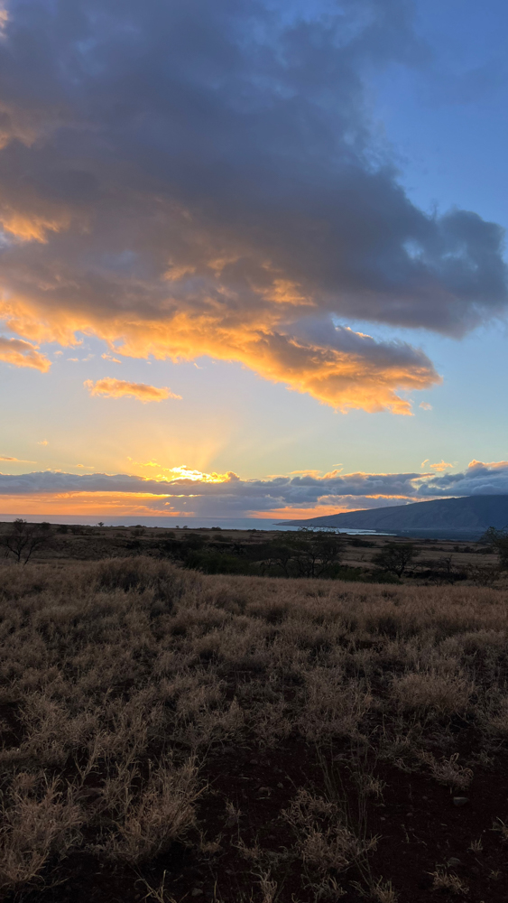 Conservation and Community: Axis Deer Hunting in Hawaii
