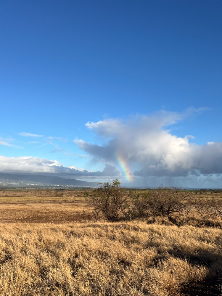 Conservation and Community: Axis Deer Hunting in Hawaii