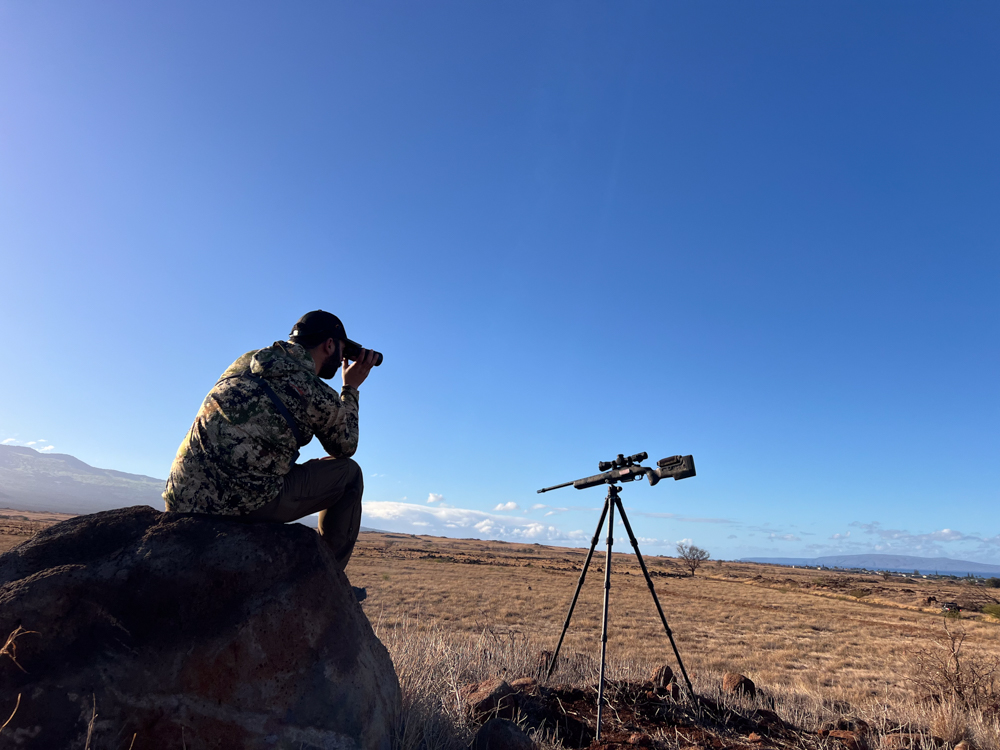 Conservation and Community: Axis Deer Hunting in Hawaii