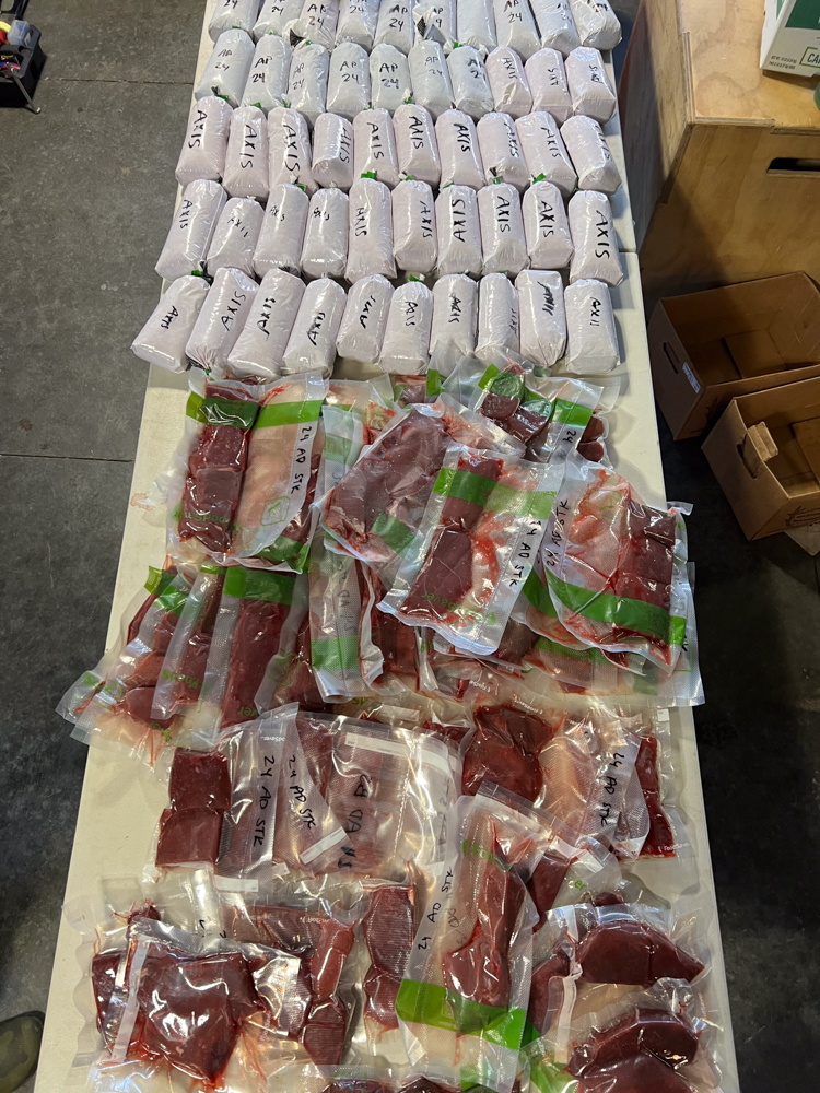 Conservation and Community: Axis Deer Hunting in Hawaii