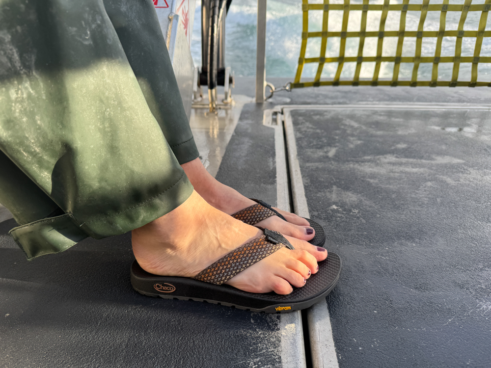 chaco womens rapid pro flip the link