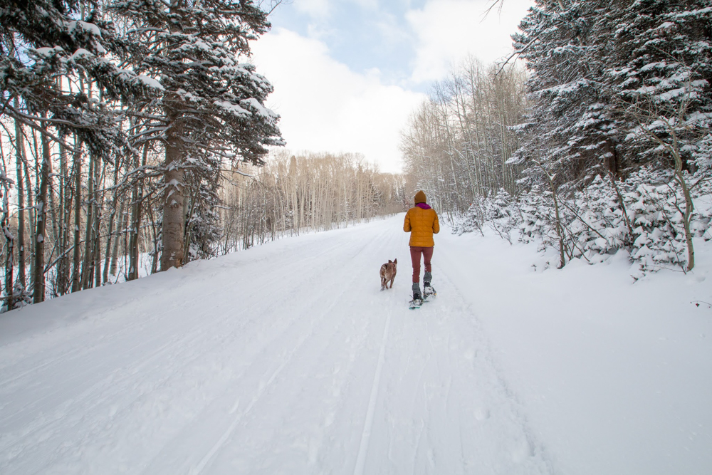 how to camp or vanlife throughout winter the link