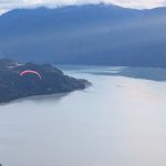 best year yet the link