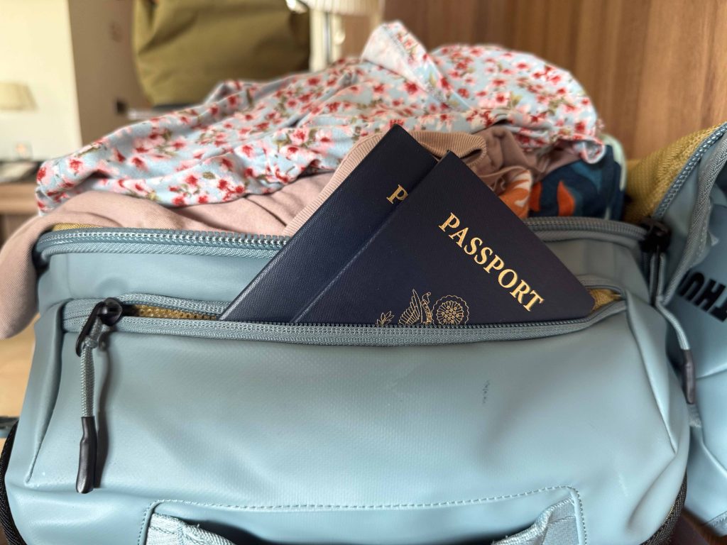 thule-travel-collection-the-link