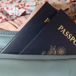 thule-travel-collection-the-link