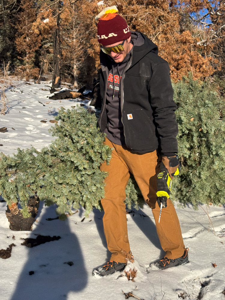 aku-rocket-dfs-gtx-the-link