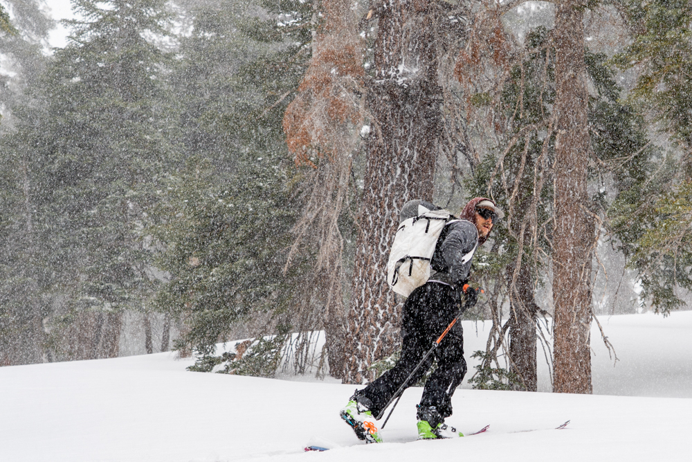 caught in avy terrain the link