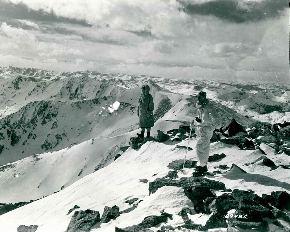 10th mountain division the link