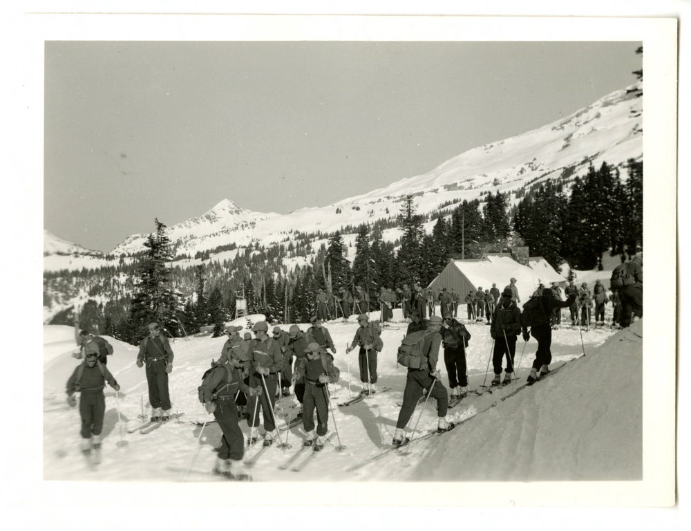 10th mountain division the link