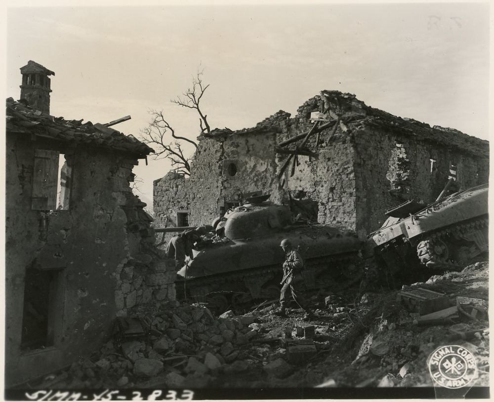 10th mountain division the link