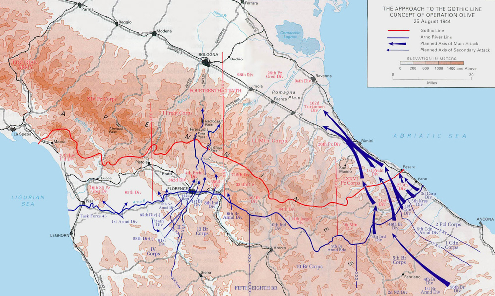 10th mountain division the link