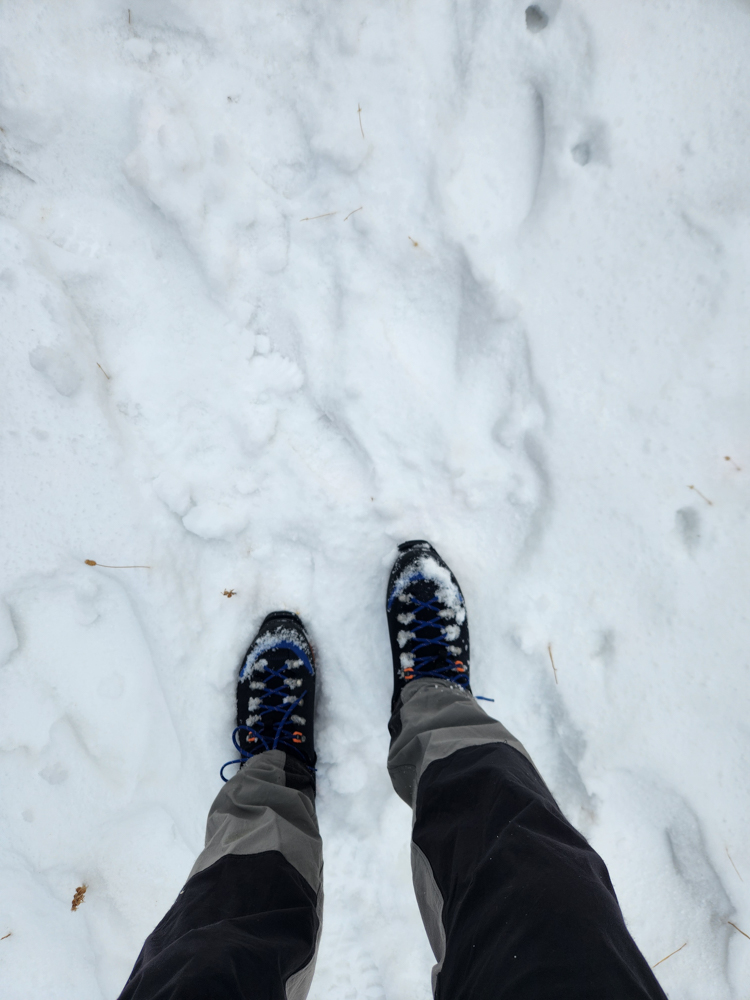 AKU Outdoor Hayatsuki GTX Review The Link