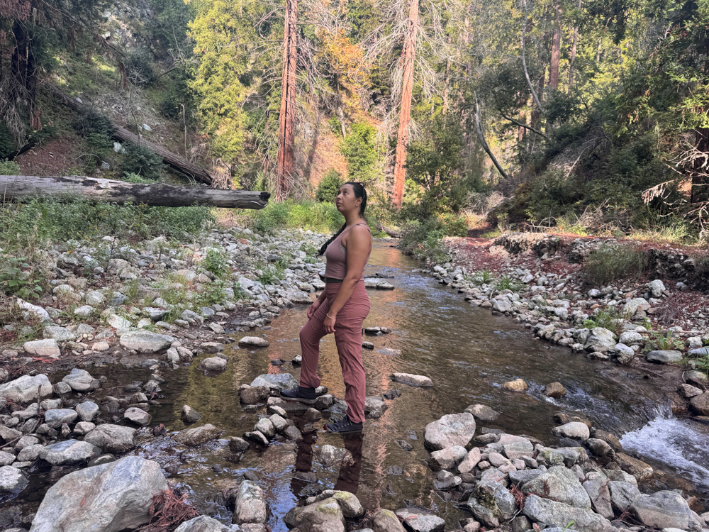 astral-pisgah 1.5-thelink