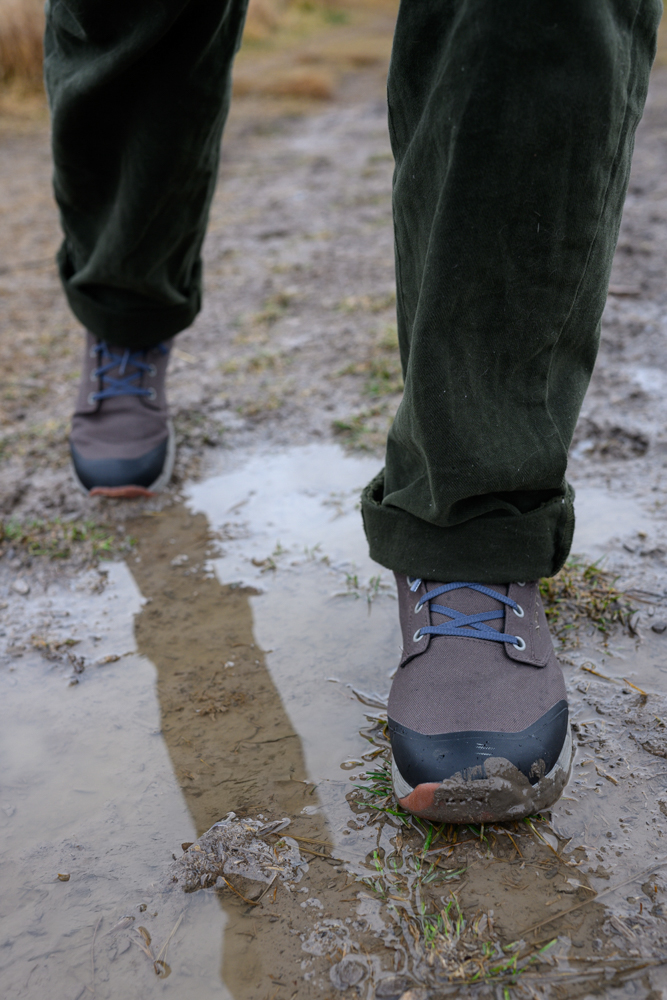 astral-pisgah-the-link