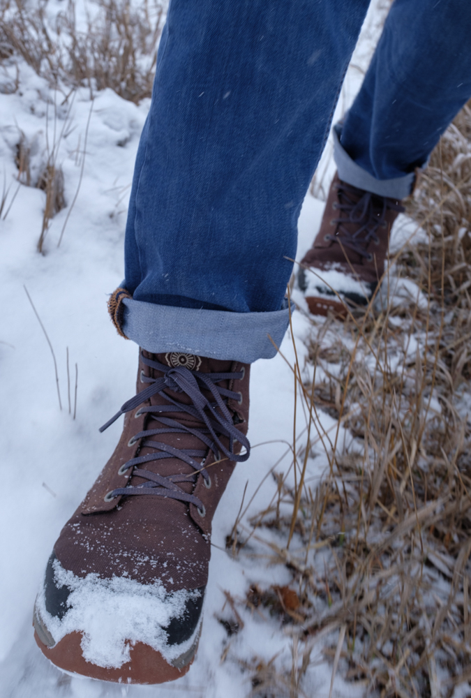 astral-pisgah-the-link