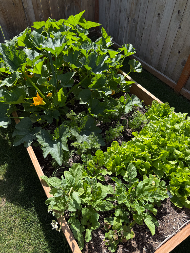 cooking-with-game-the-link