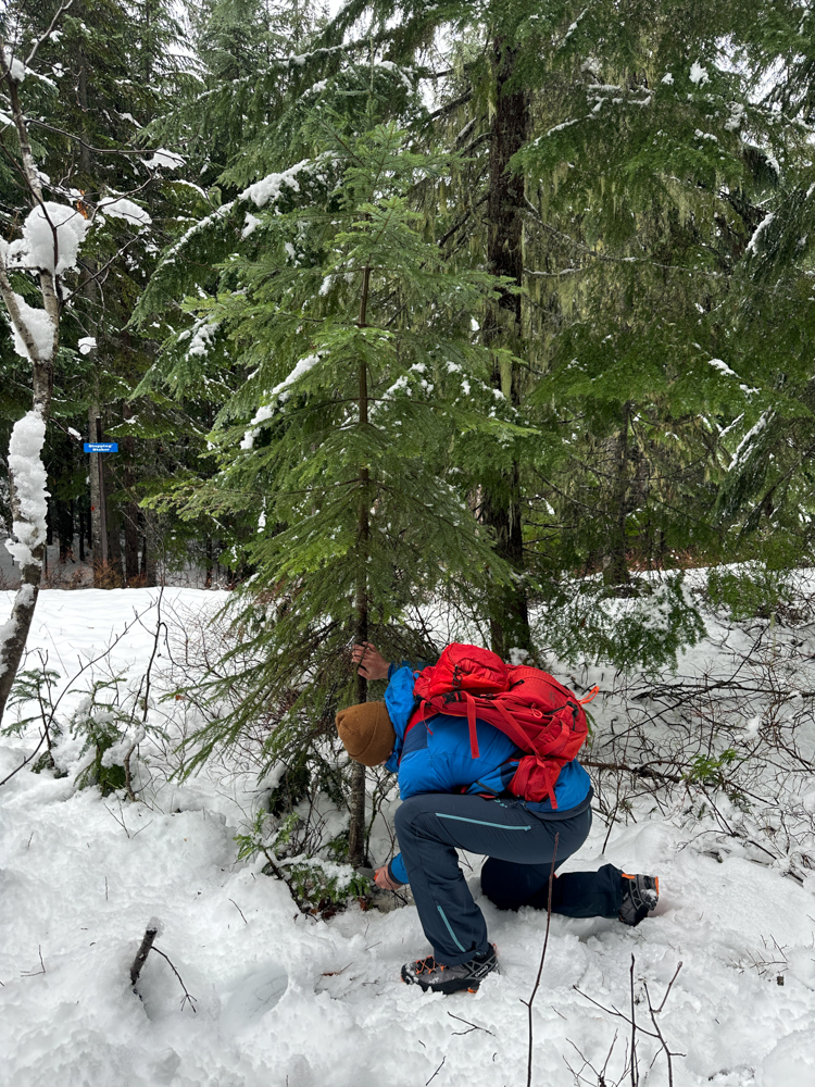 aku-outdoor-rock-dfs-the-link