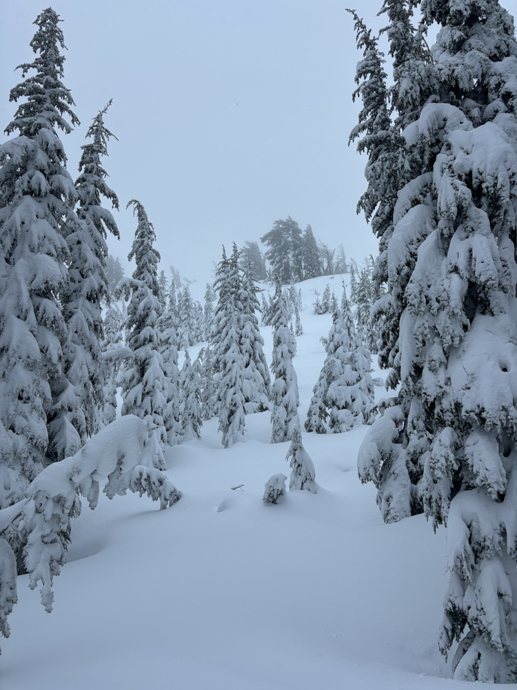 The Best Women’s Ski Touring and Splitboarding Packs The Link-6824