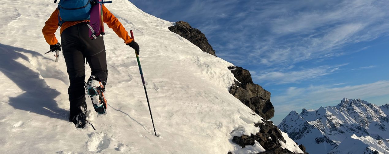 camp peak 12 mountaineering crampons the link