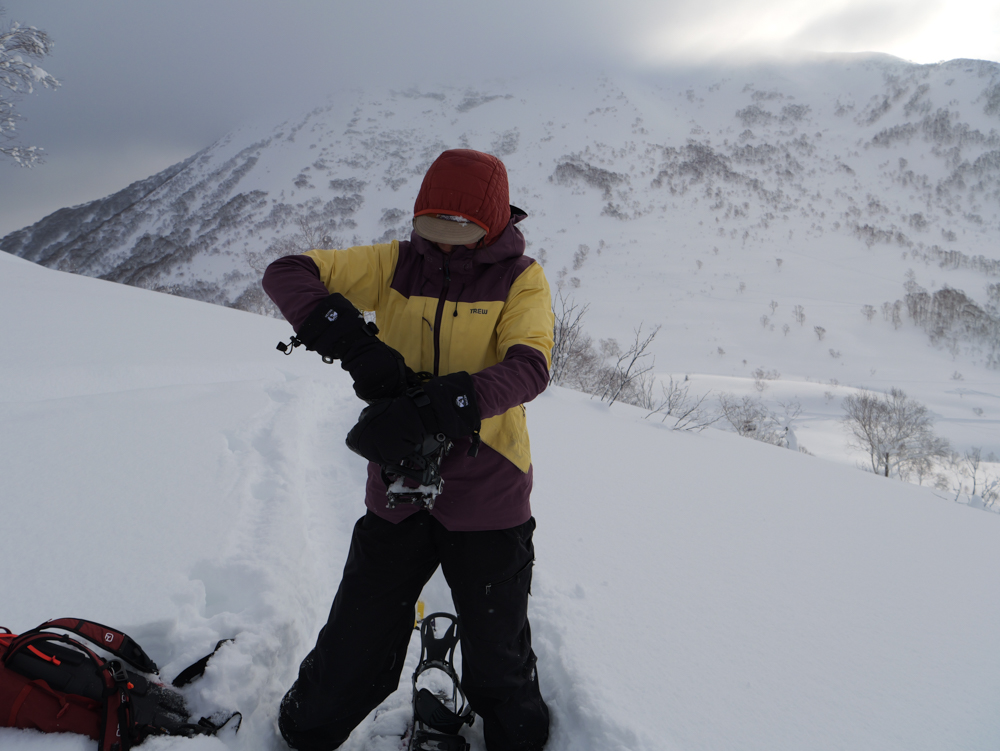 so you want to unplug the link