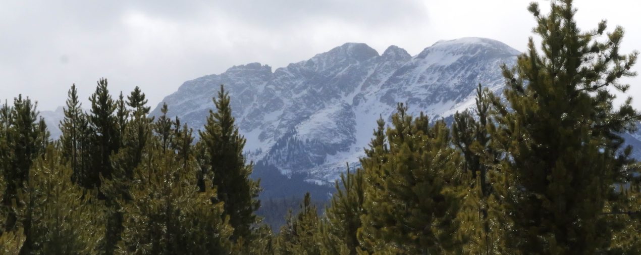 so you want to unplug the link