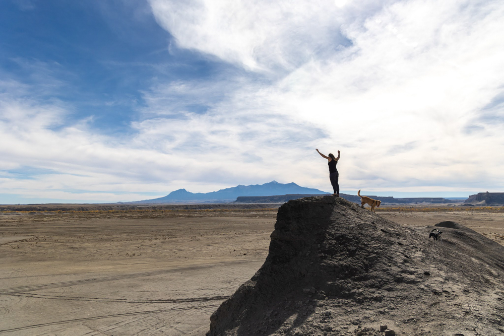 ways-to-celebrate-earth-day-the-link