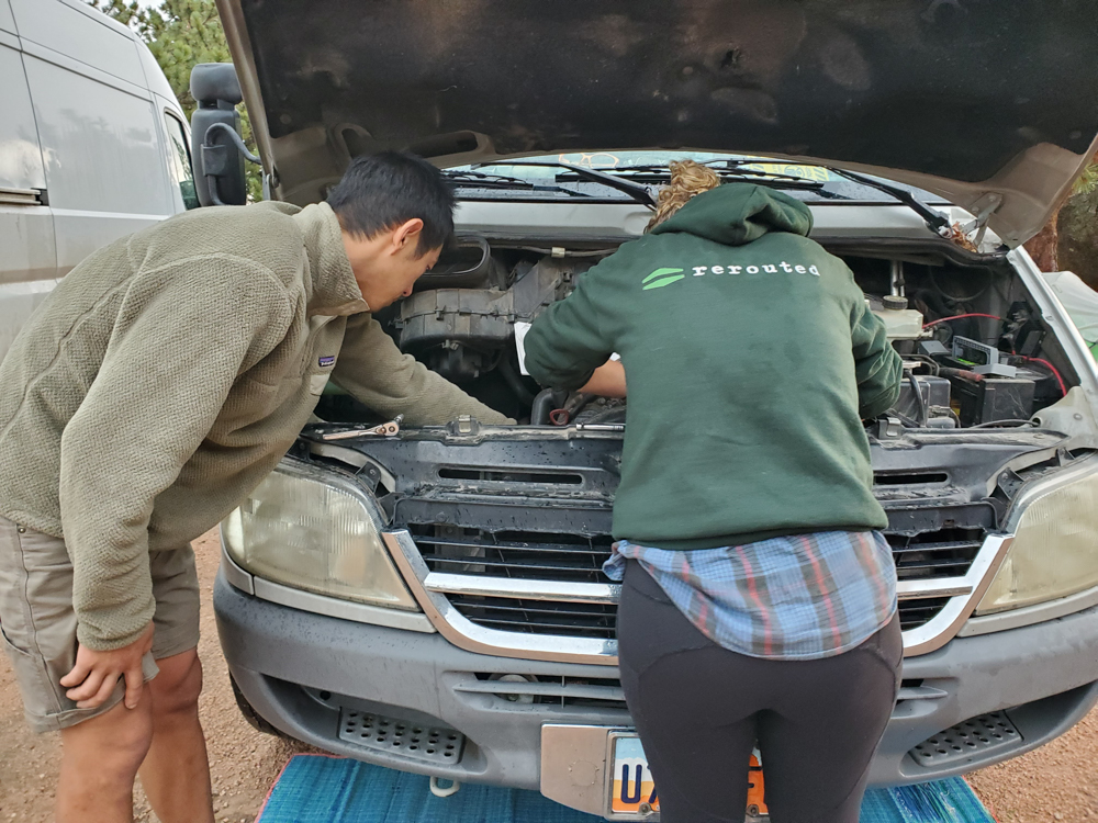 ways-to-celebrate-earth-day-the-link