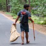 ways-to-celebrate-earth-day-the-link