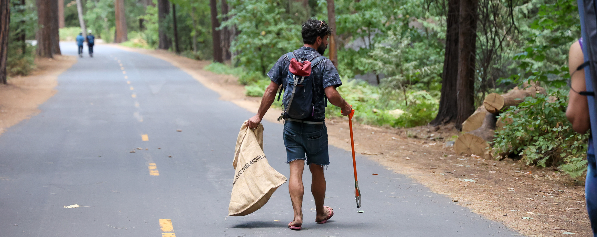 ways-to-celebrate-earth-day-the-link