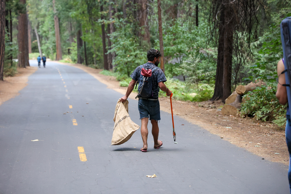 ways-to-celebrate-earth-day-the-link