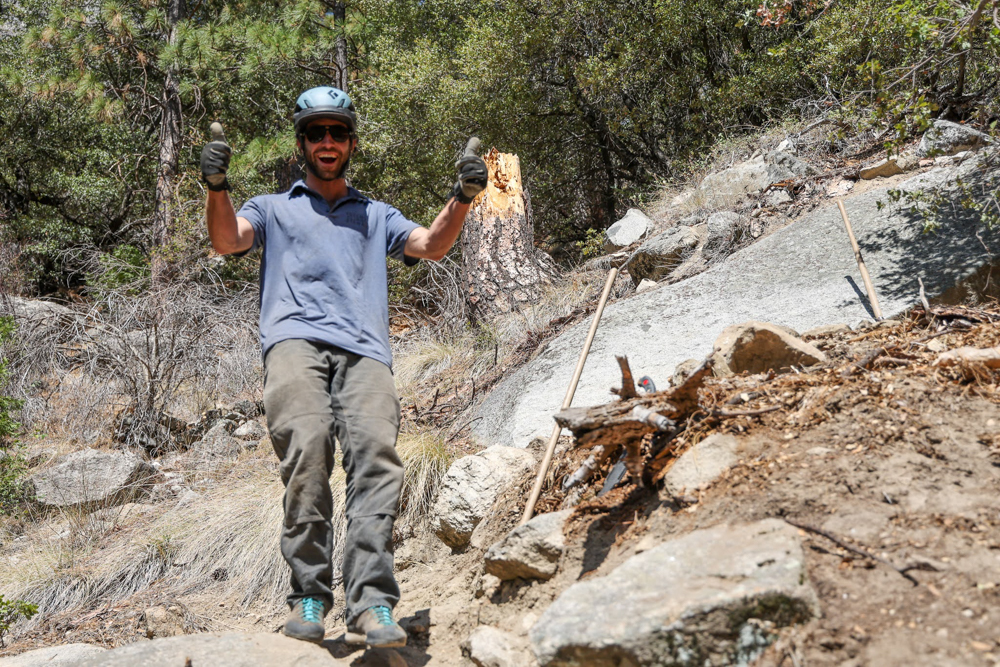 ways-to-celebrate-earth-day-the-link