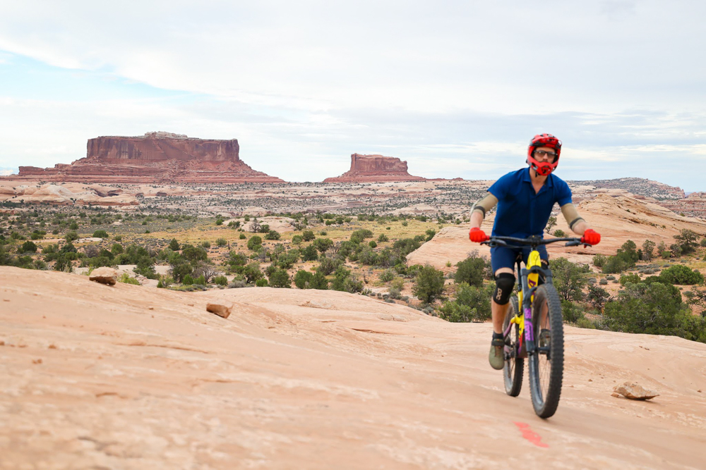 ways-to-celebrate-earth-day-the-link