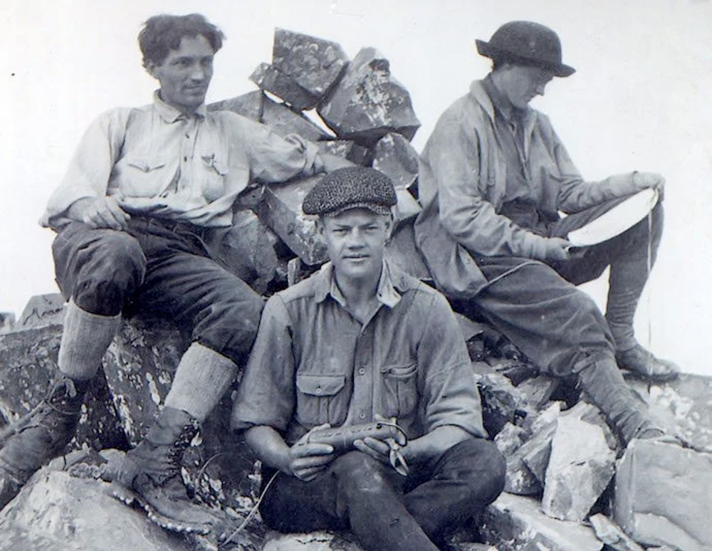 eleanor-davis-the-link